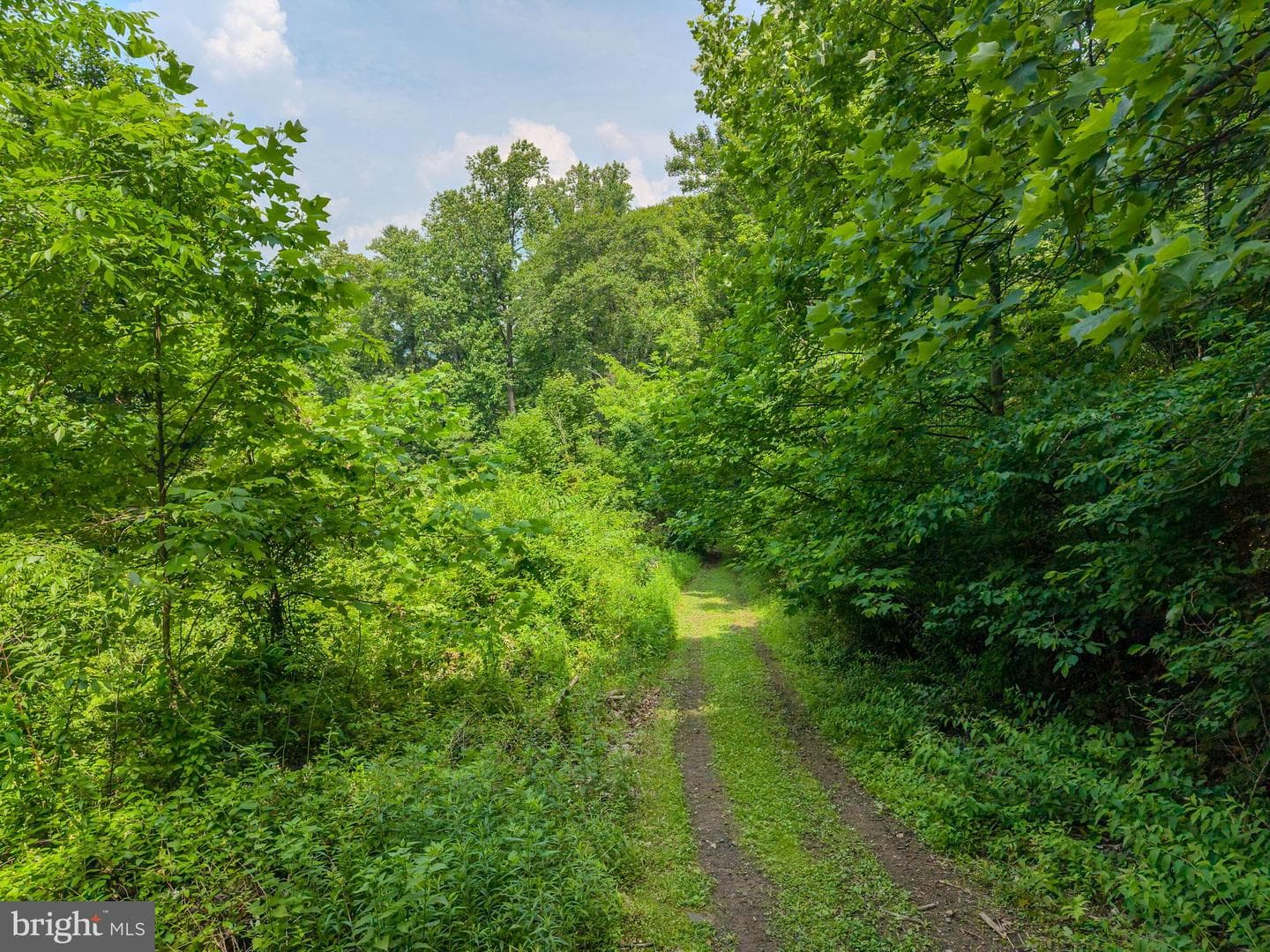 4668 Route 103 N photo 71