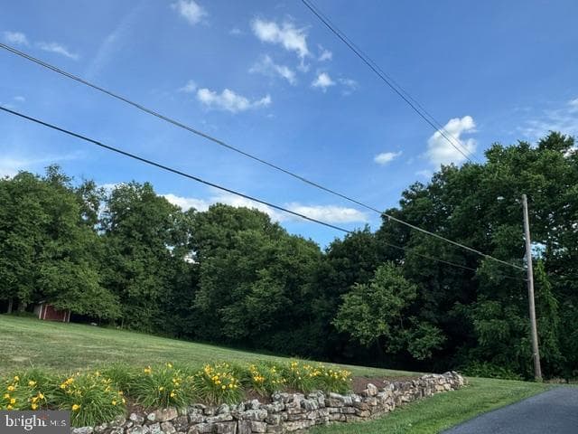 177 Scenic Drive photo 13