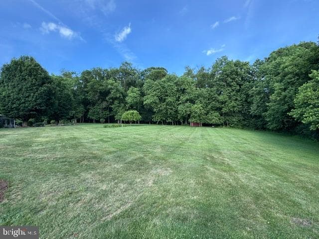 177 Scenic Drive photo 14