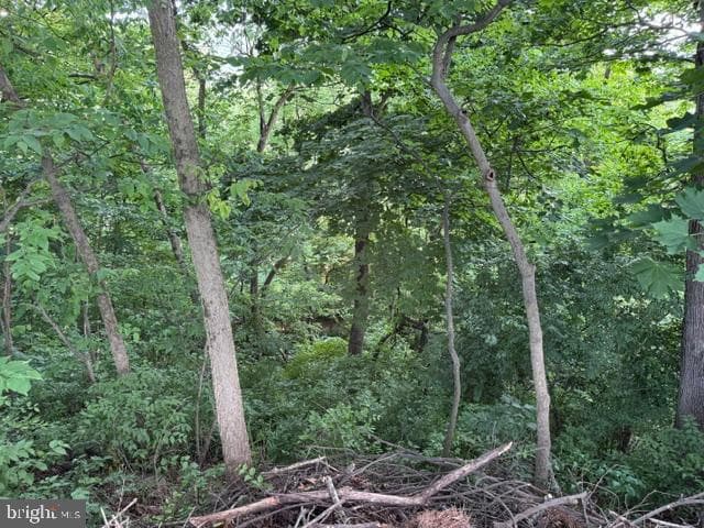 177 Scenic Drive photo 15