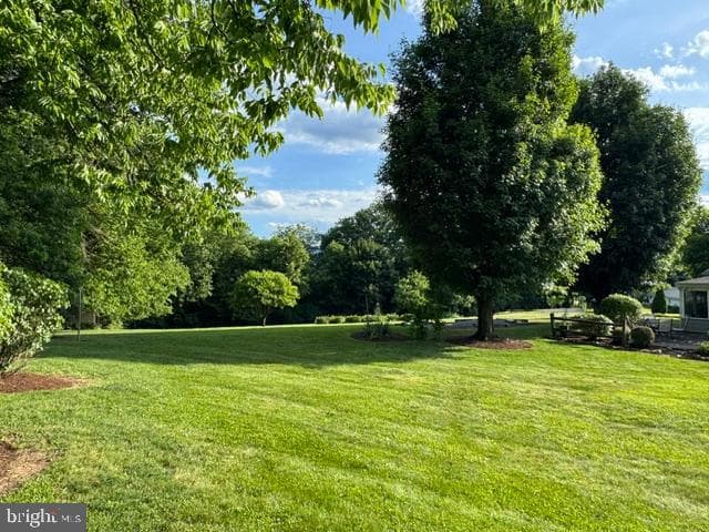 177 Scenic Drive photo 19