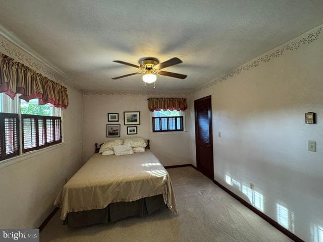 177 Scenic Drive photo 55