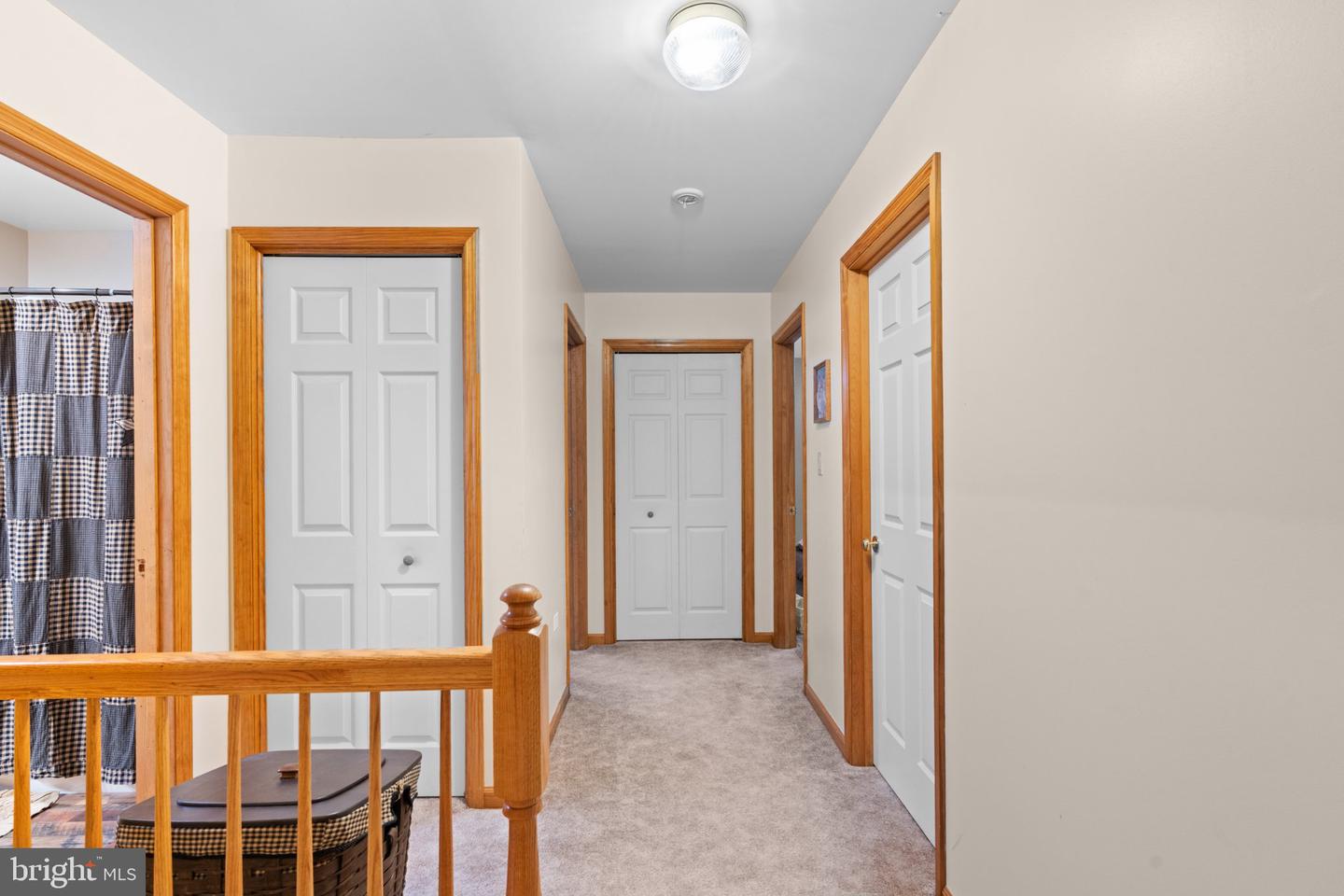 59 Delving photo 21