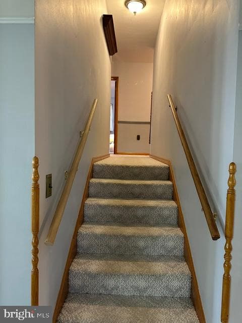 328 Cottage Place photo 19