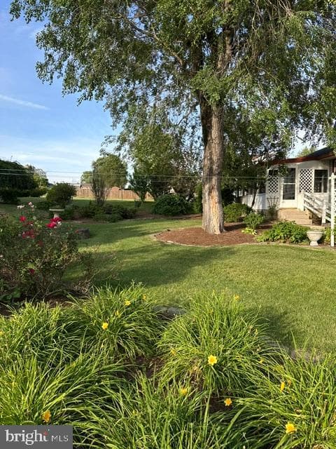 328 Cottage Place photo 5