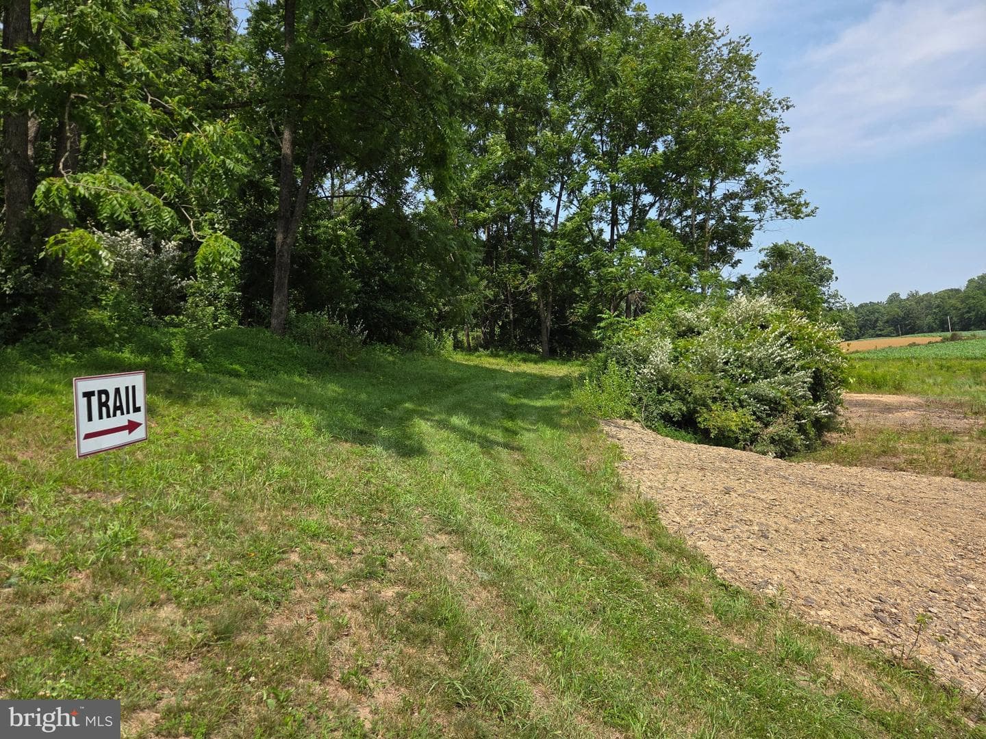 667 Summit Road photo 37
