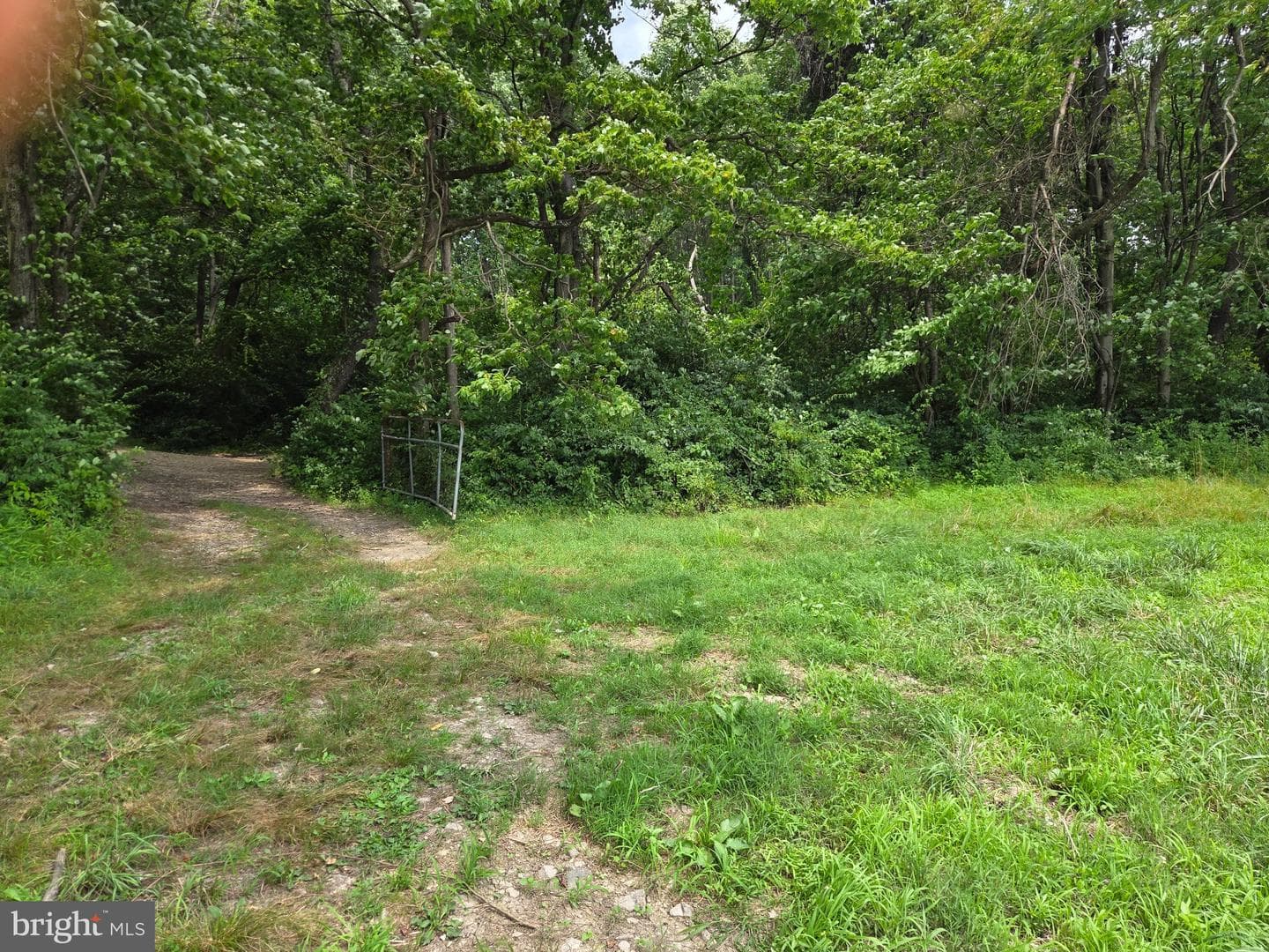 667 Summit Road photo 39