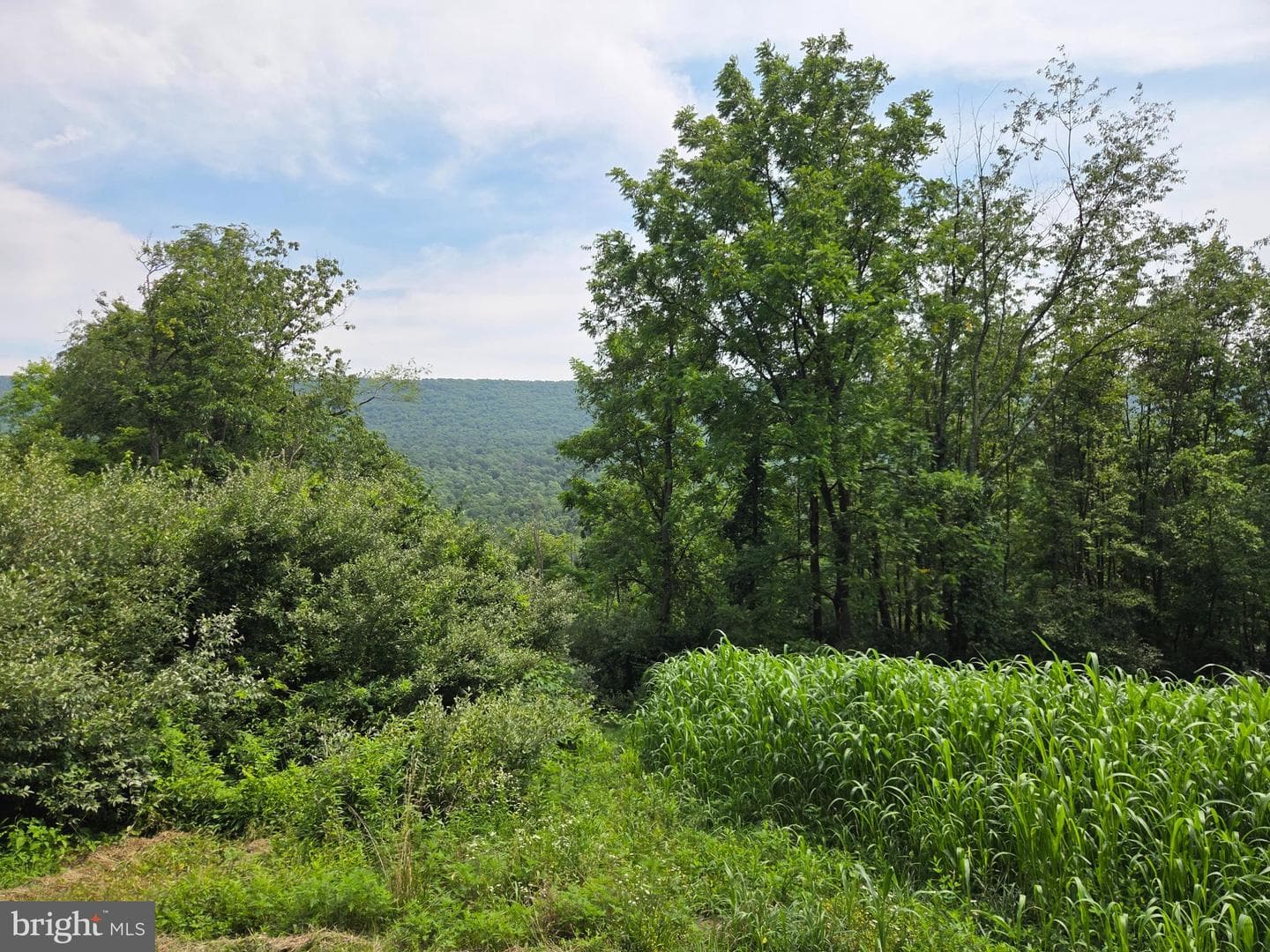 667 Summit Road photo 44