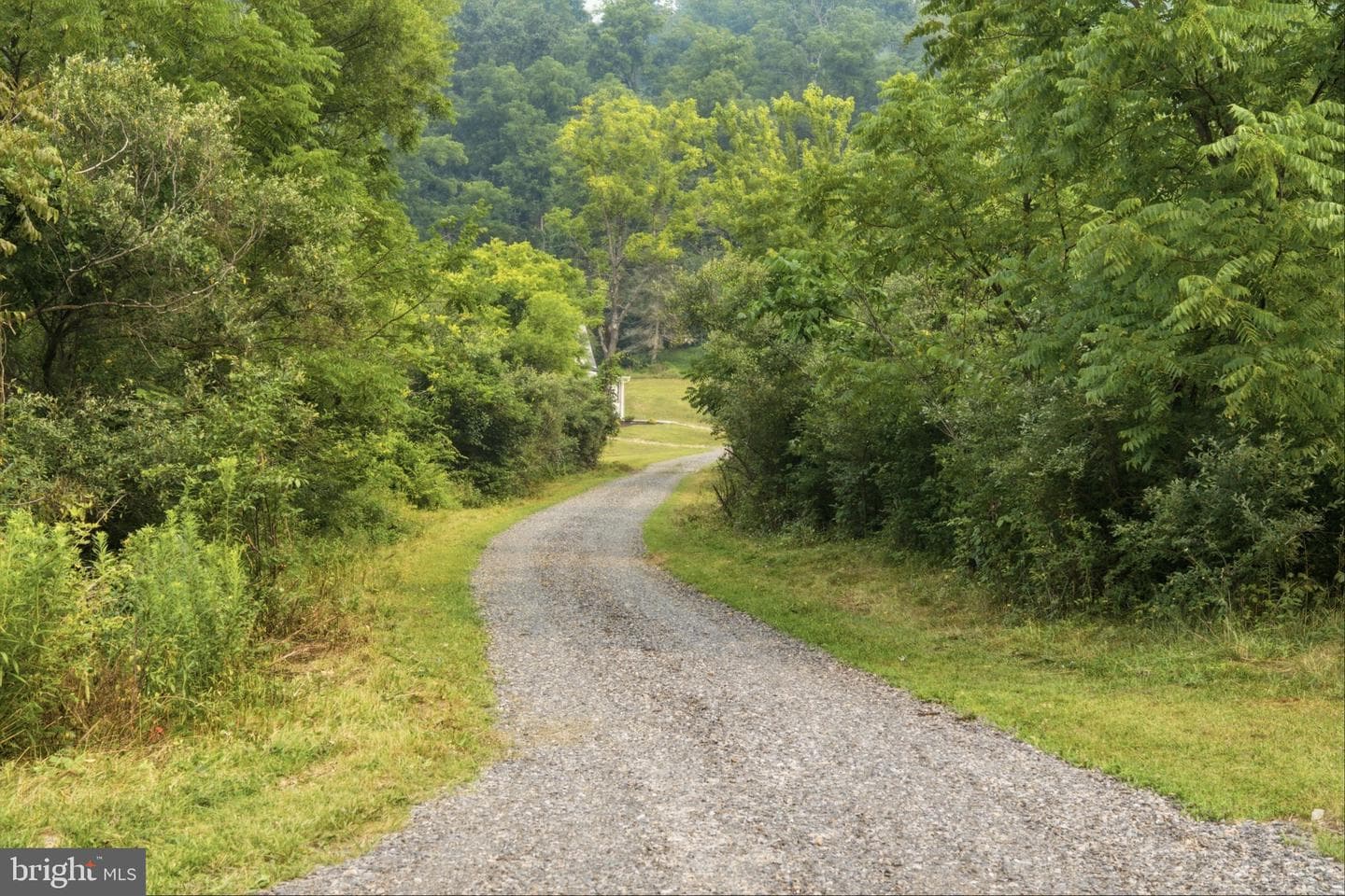 667 Summit Road photo 59