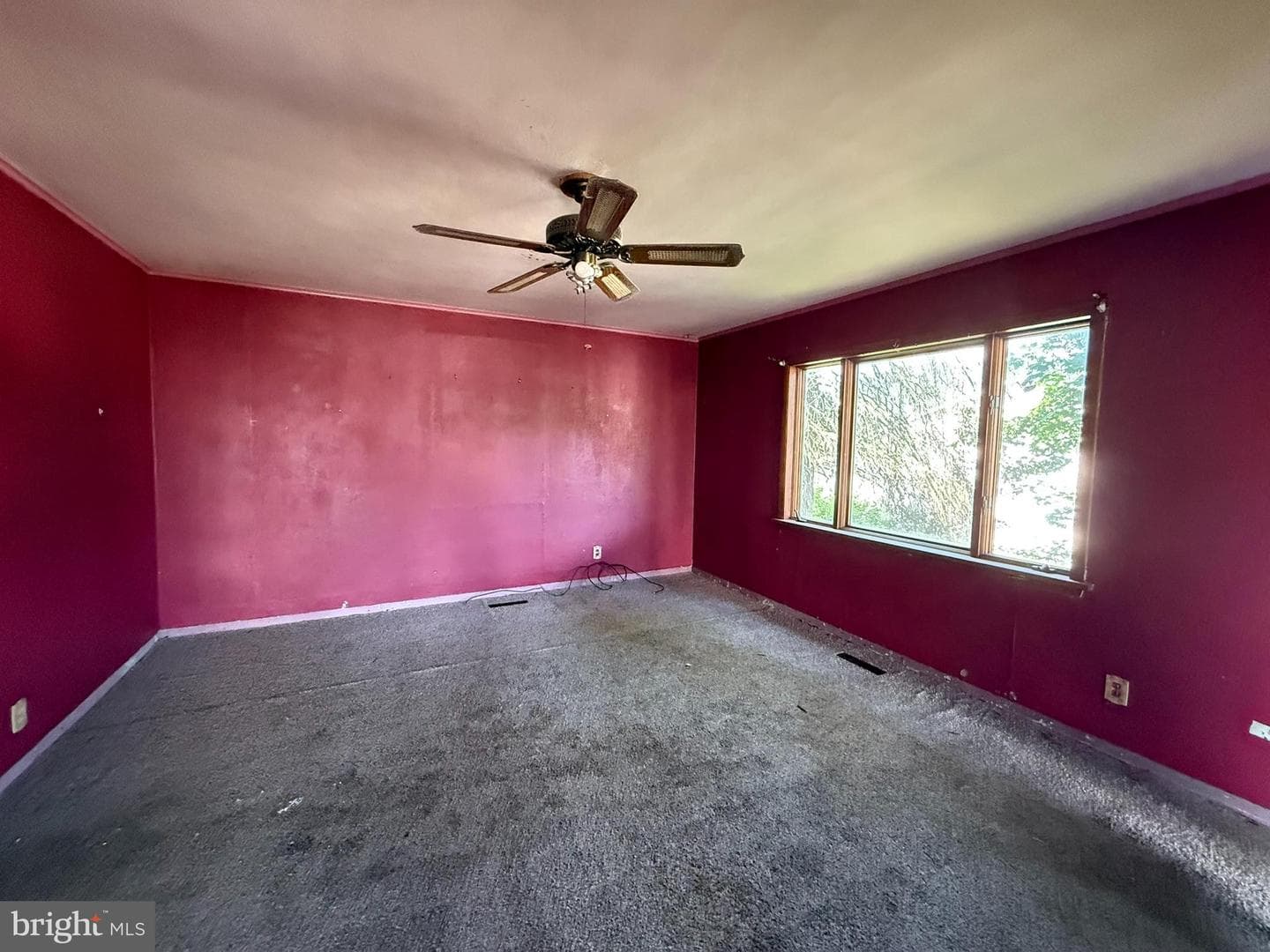 170 Elm Street E photo 3