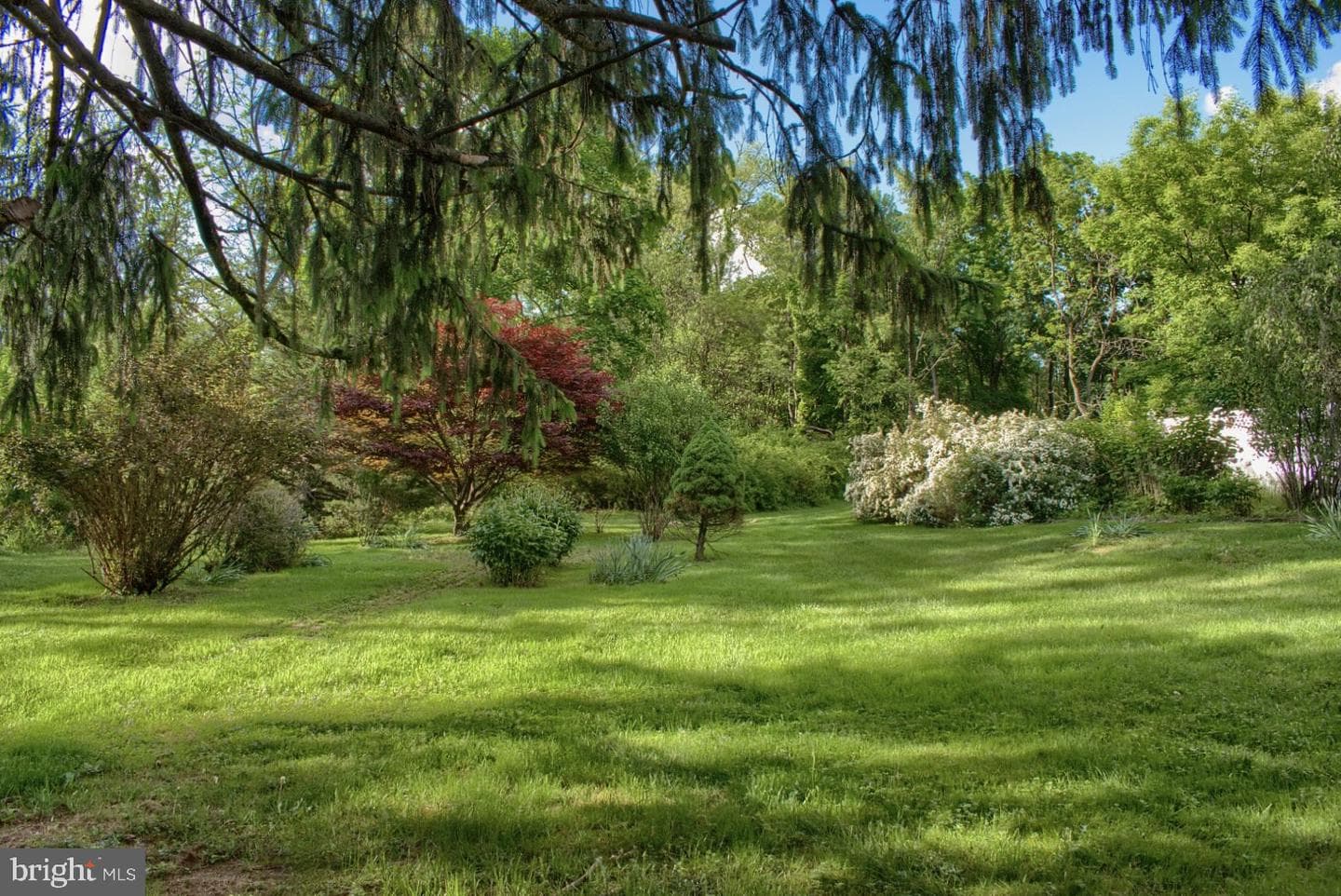 1025 Bloom Road photo 4