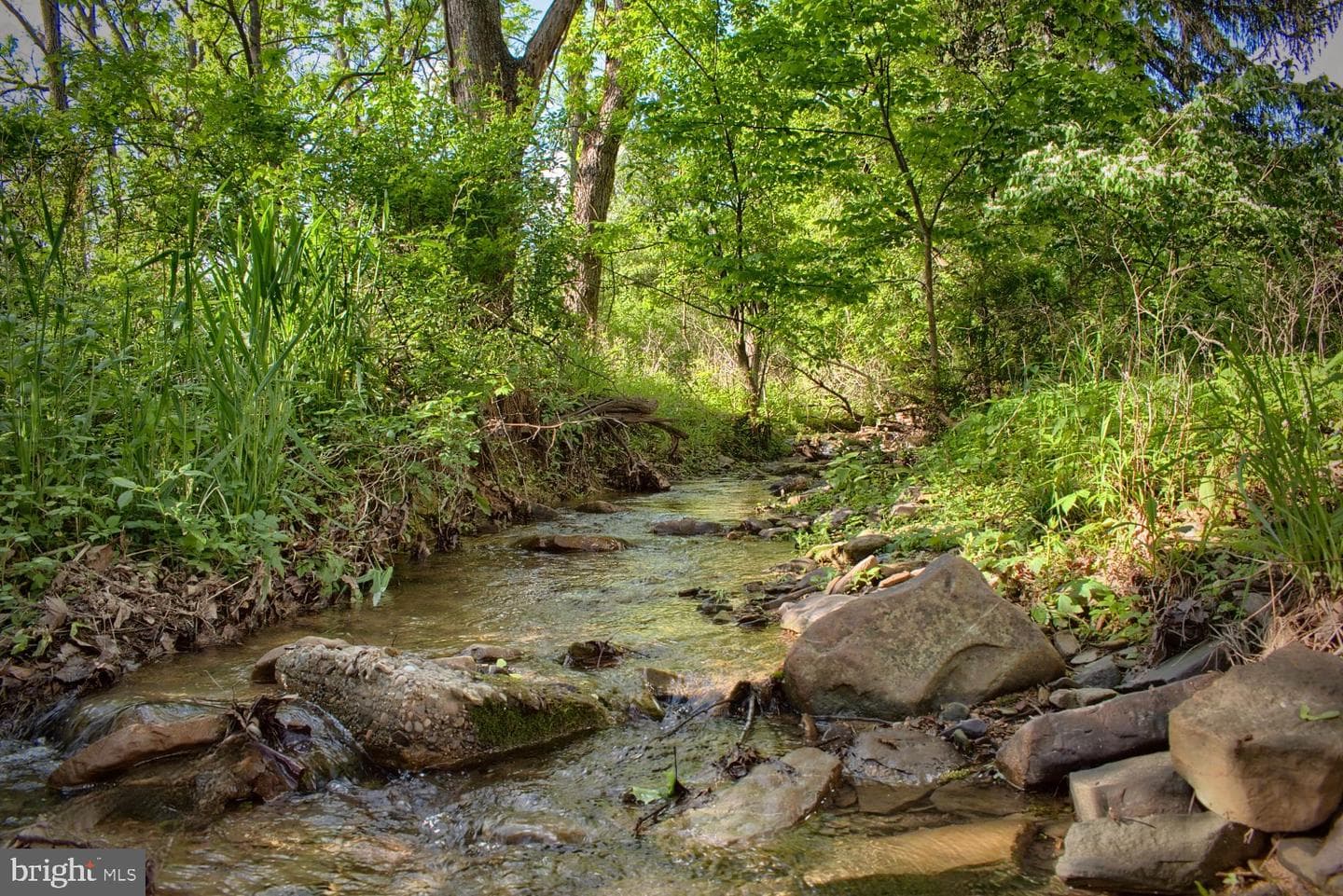 1025 Bloom Road photo 44