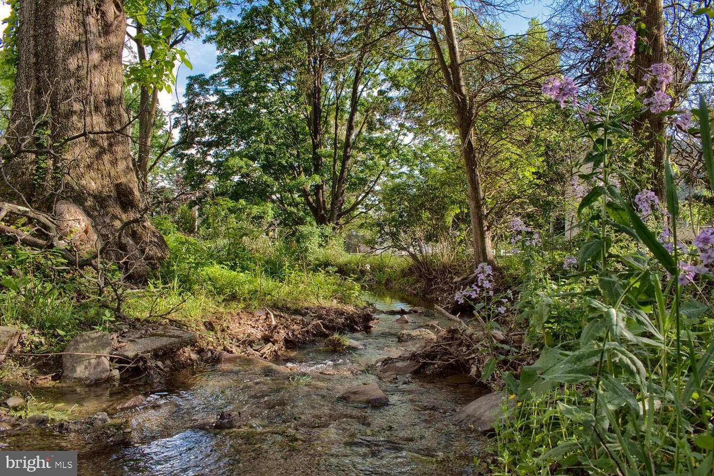 1025 Bloom Road photo 6