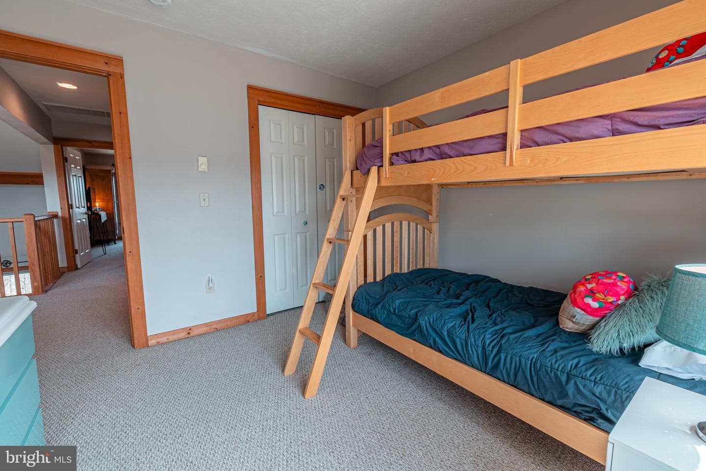 208 Sycamore Court photo 25