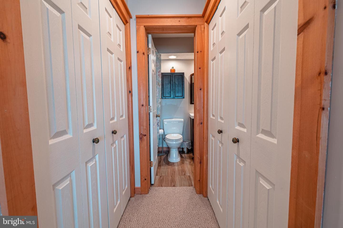 208 Sycamore Court photo 28