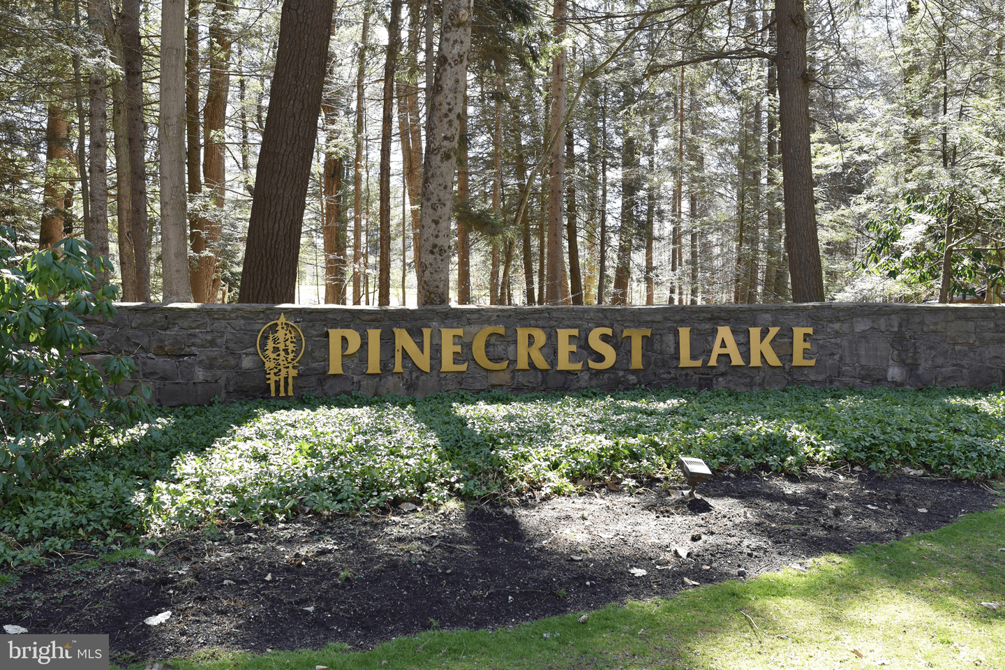 823 Crest Pines Ln photo 29