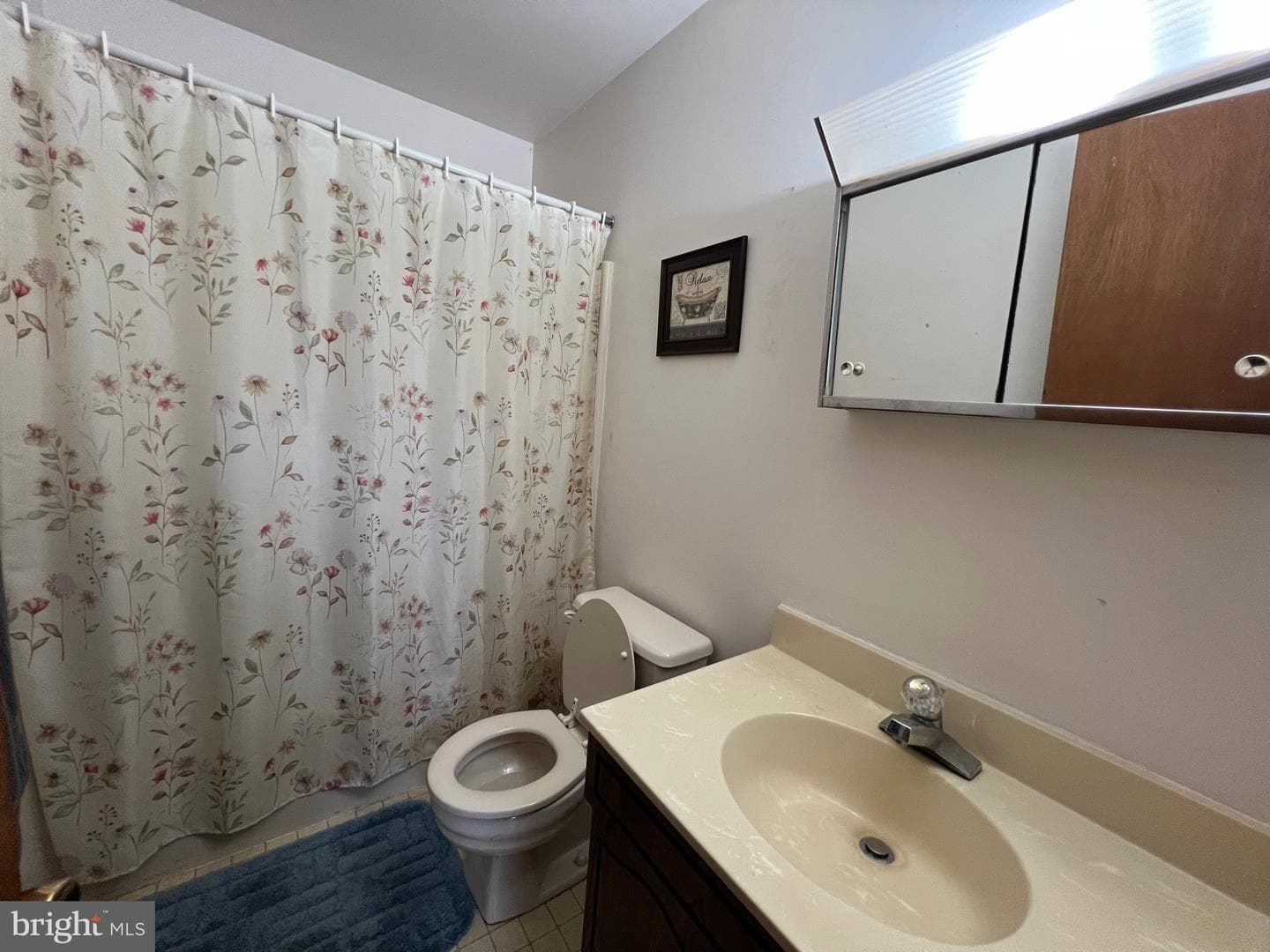 193 Deer Path photo 29