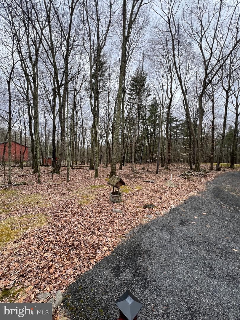 193 Deer Path photo 47