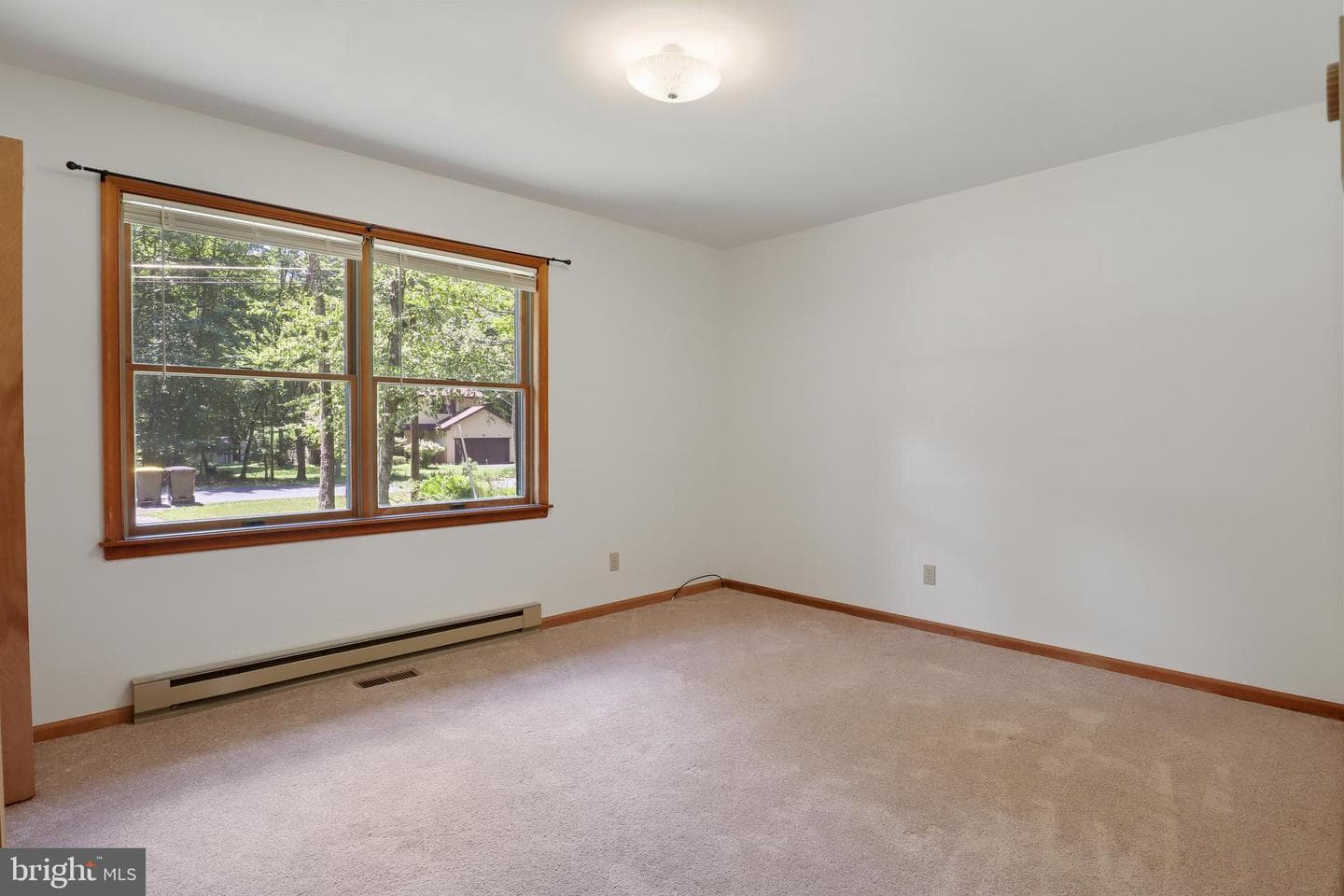 18 Bull Pine Road photo 22
