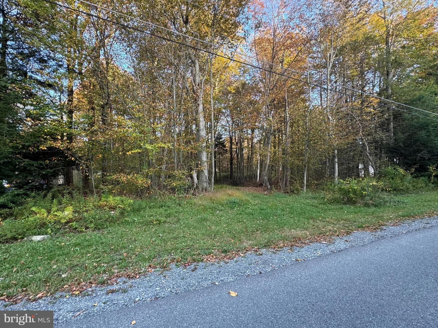4106 Knight Drive photo 26