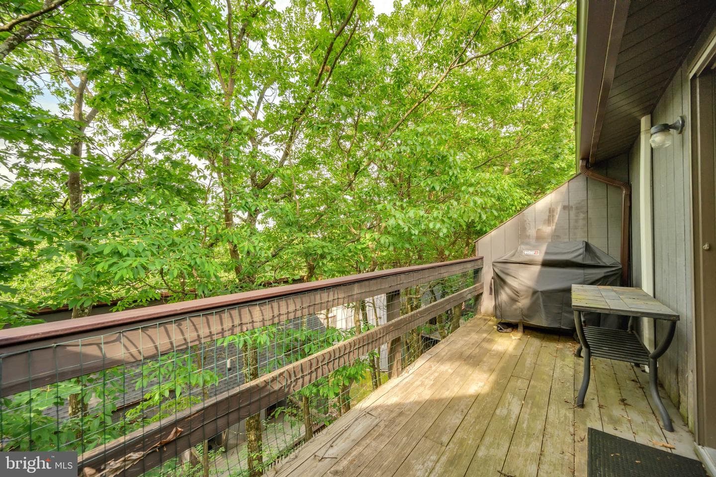 203 Sunbird Way photo 14