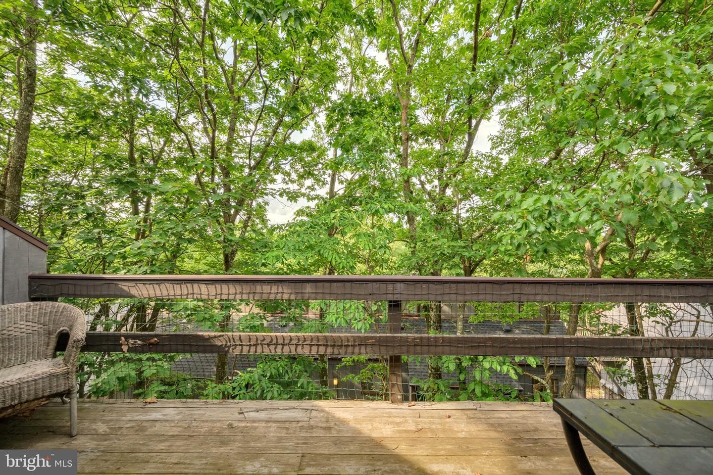 203 Sunbird Way photo 15