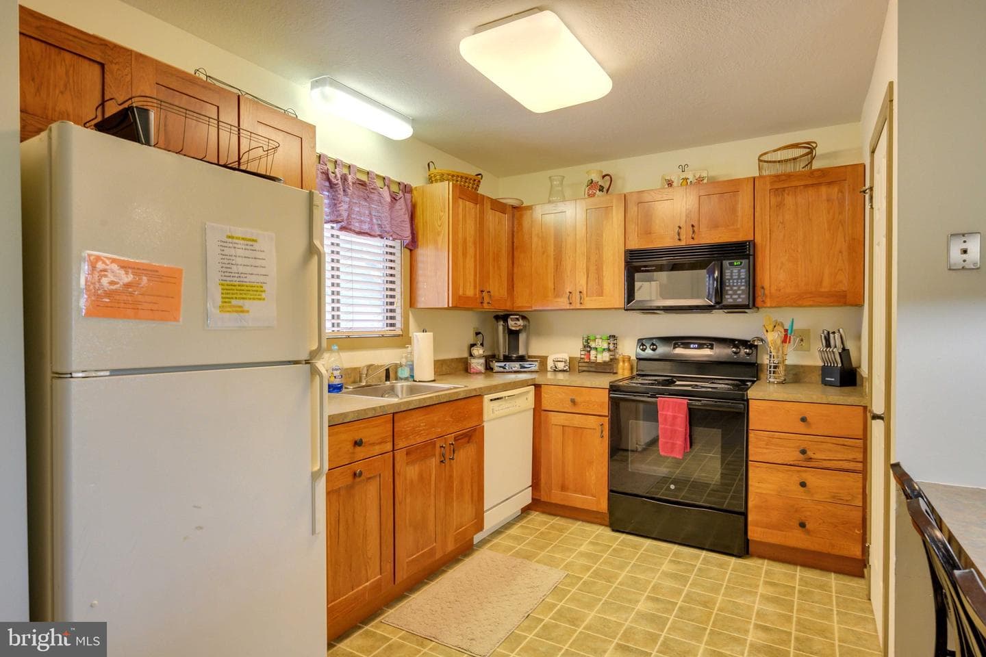 203 Sunbird Way photo 4