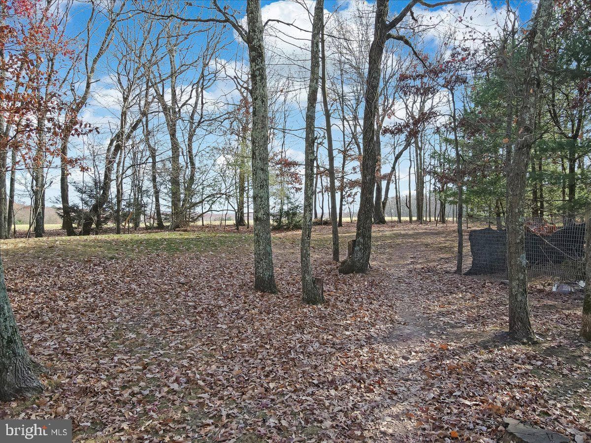 14 Whippoorwill Drive photo 46