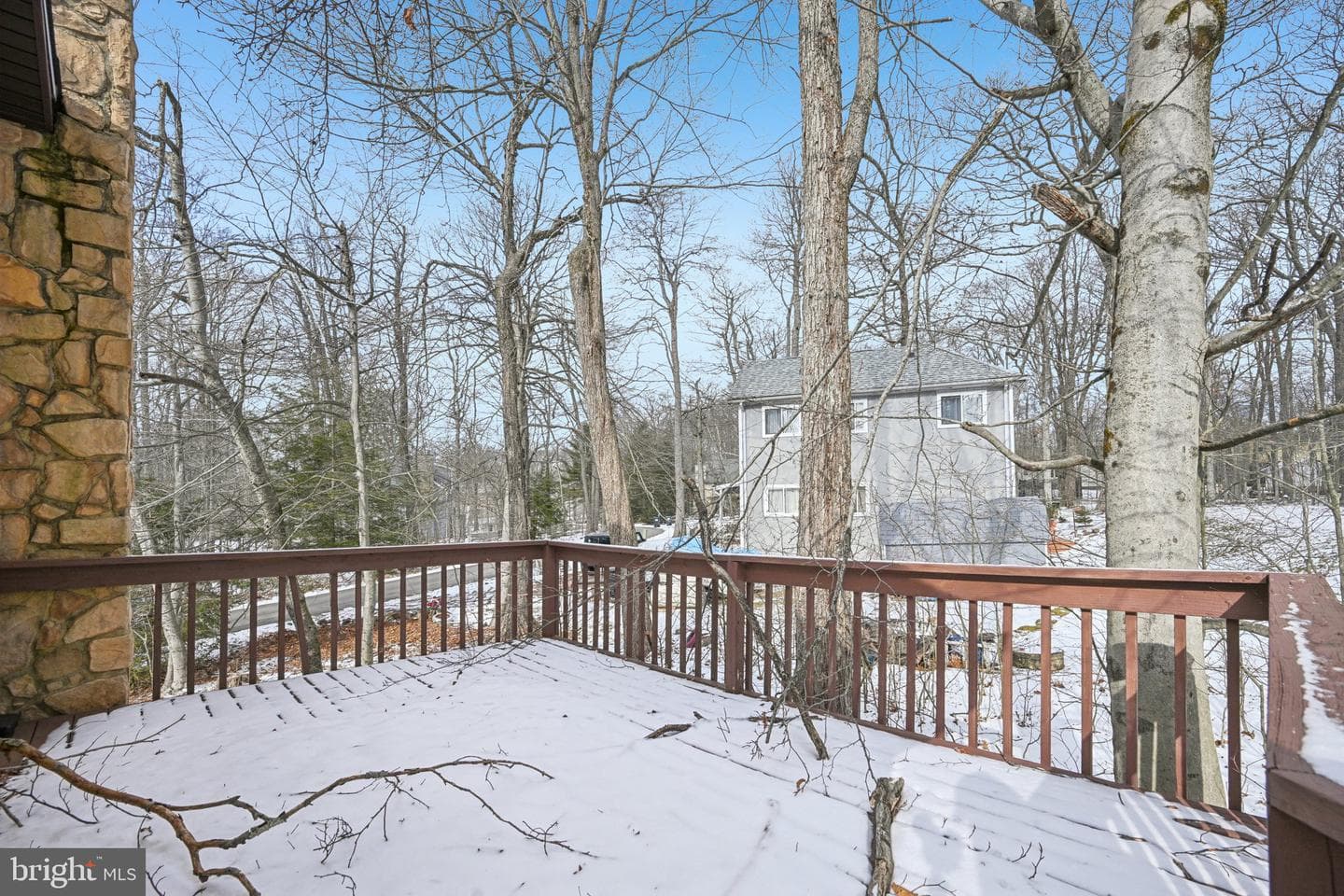 113 Colt Place photo 42