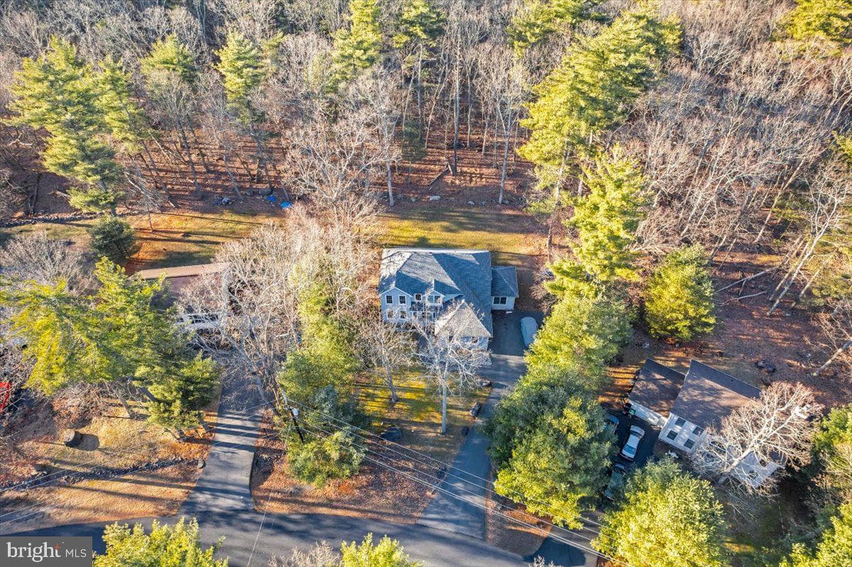 216 Spicebush Drive photo 12