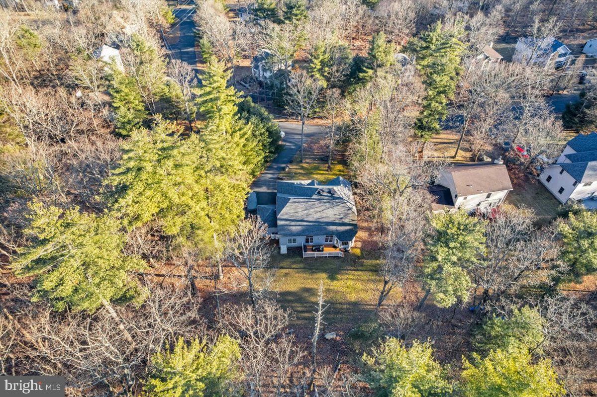 216 Spicebush Drive photo 13