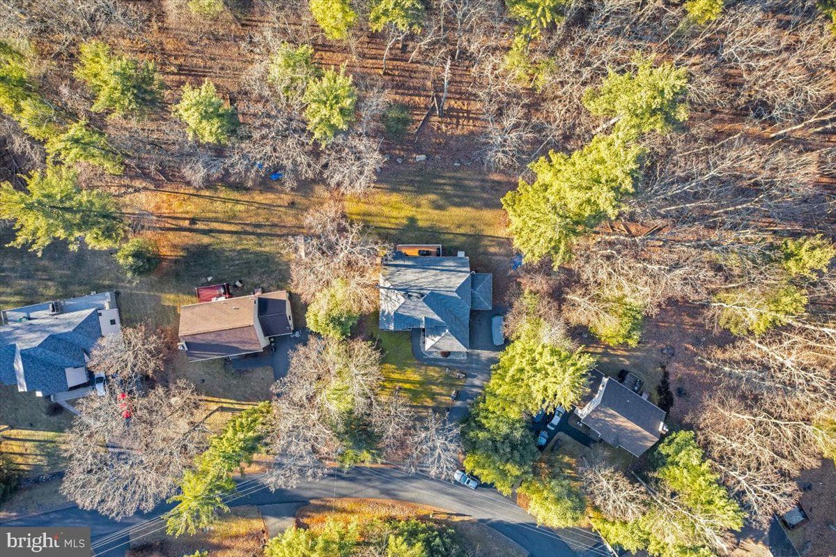 216 Spicebush Drive photo 14