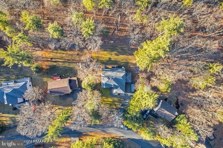 216 Spicebush Drive photo 52
