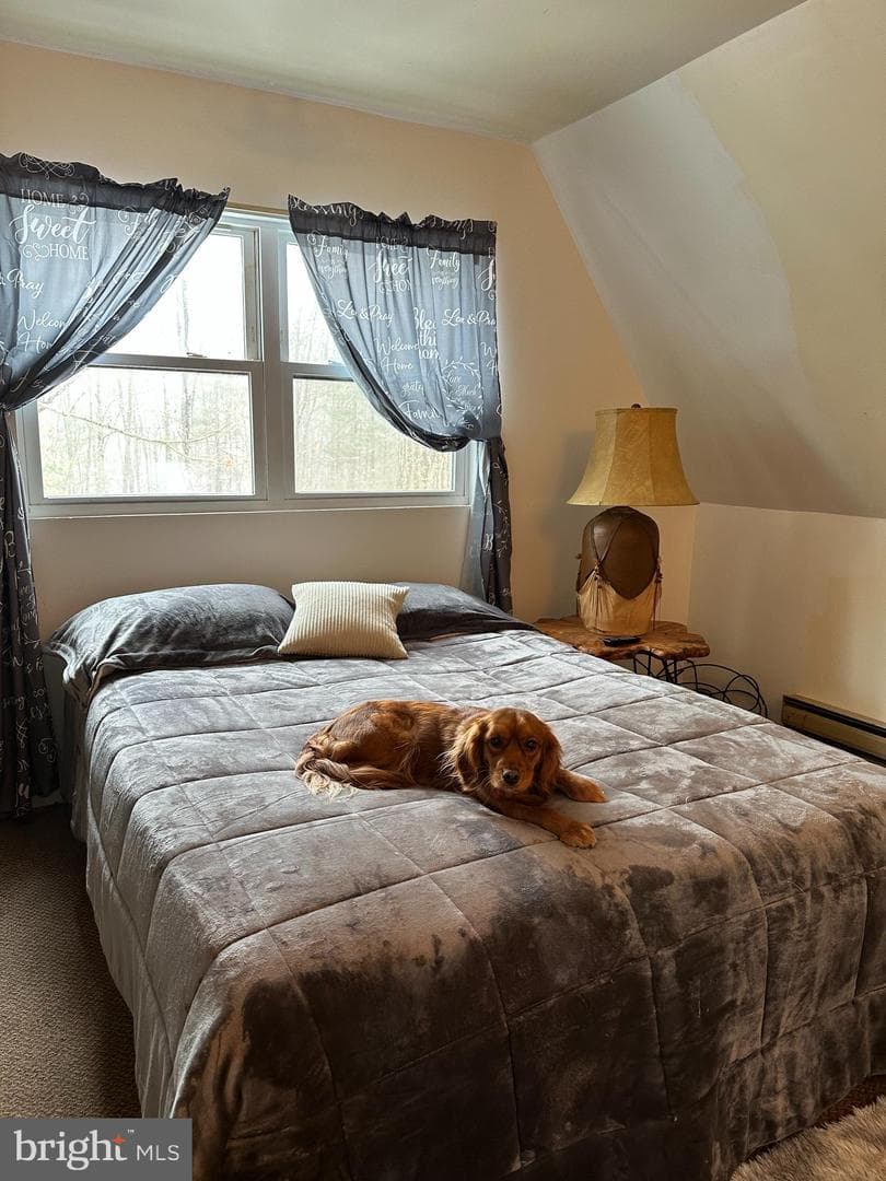 135 Bernadine Road photo 20