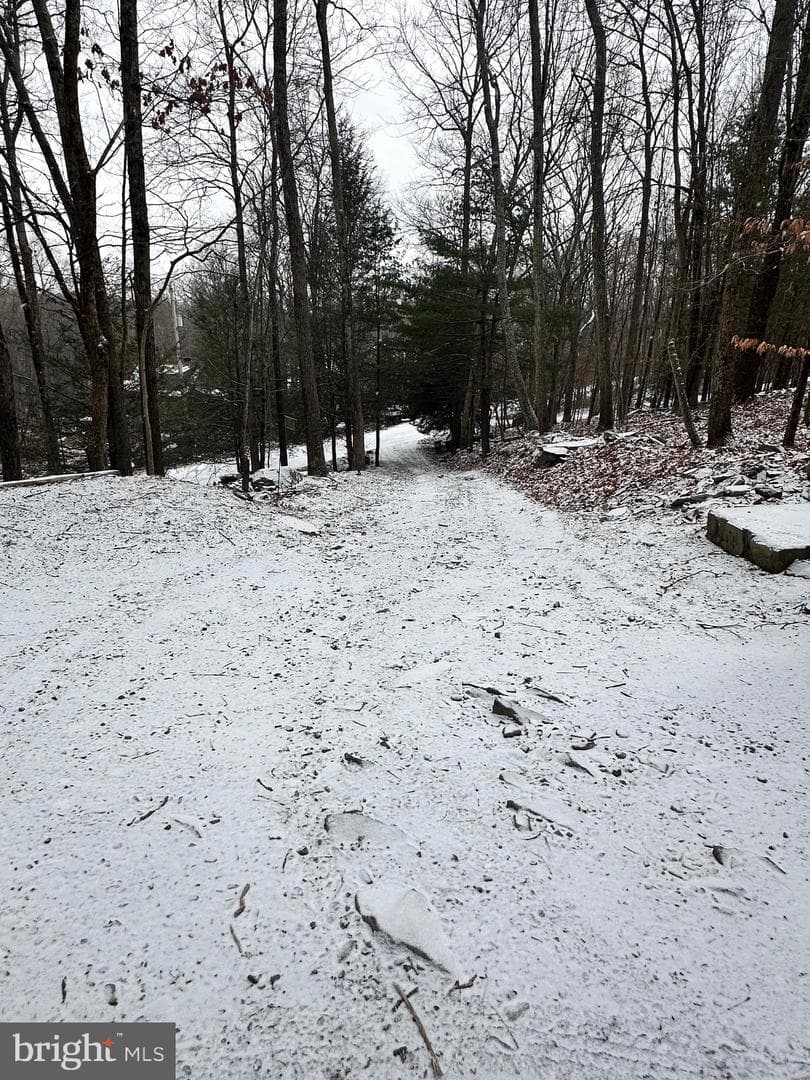 135 Bernadine Road photo 27