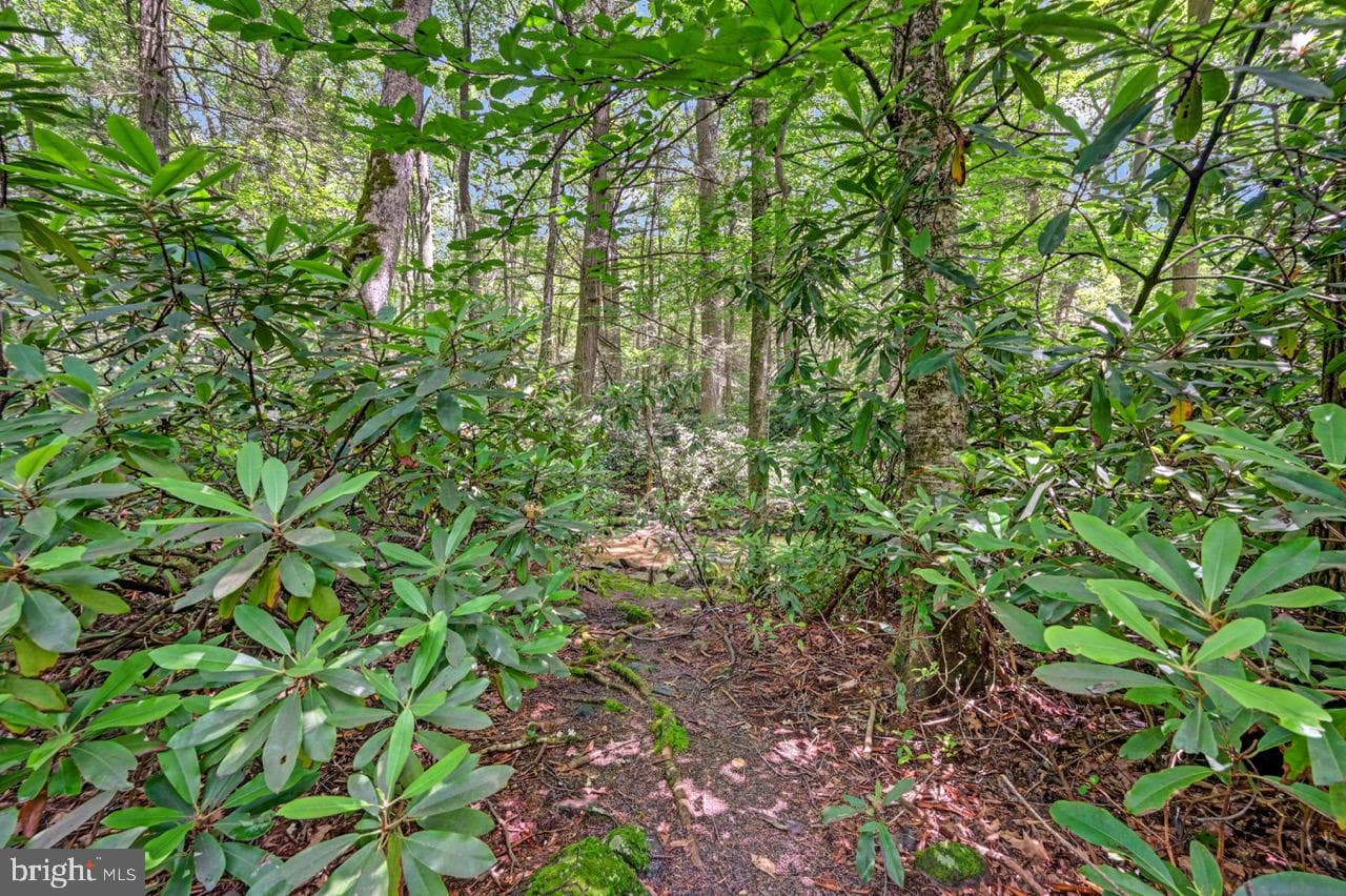 217 Lower Valley Drive photo 87