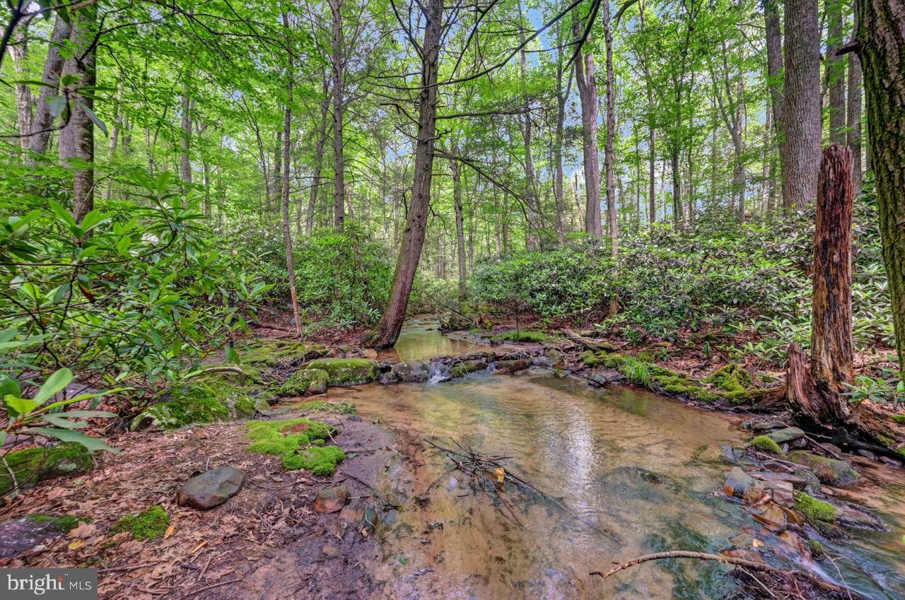 217 Lower Valley Drive photo 89