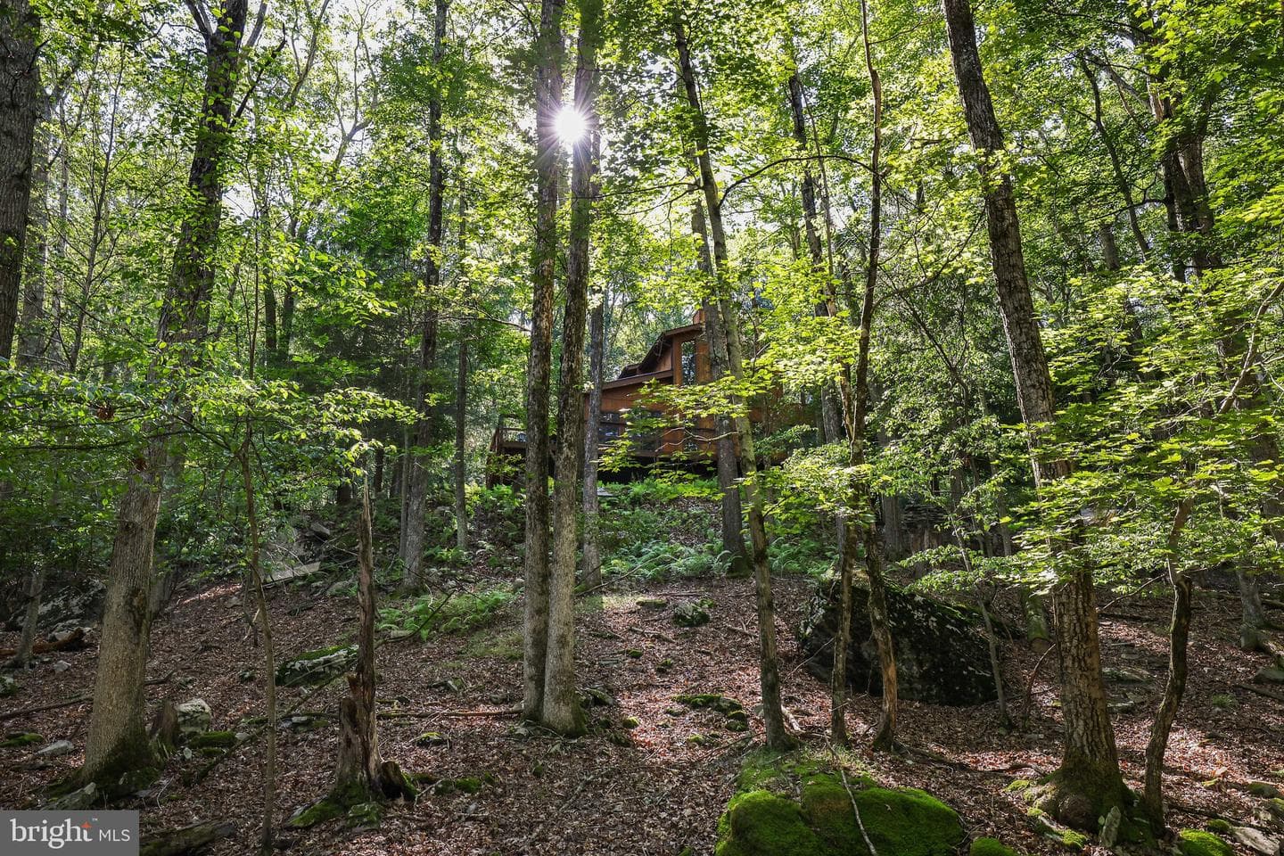 424 Iroquois Loop photo 45