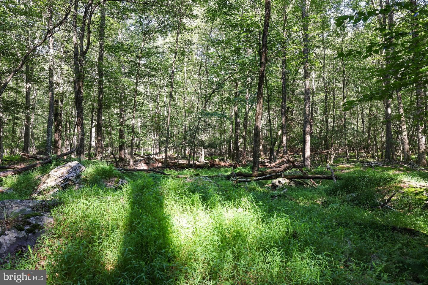 424 Iroquois Loop photo 47