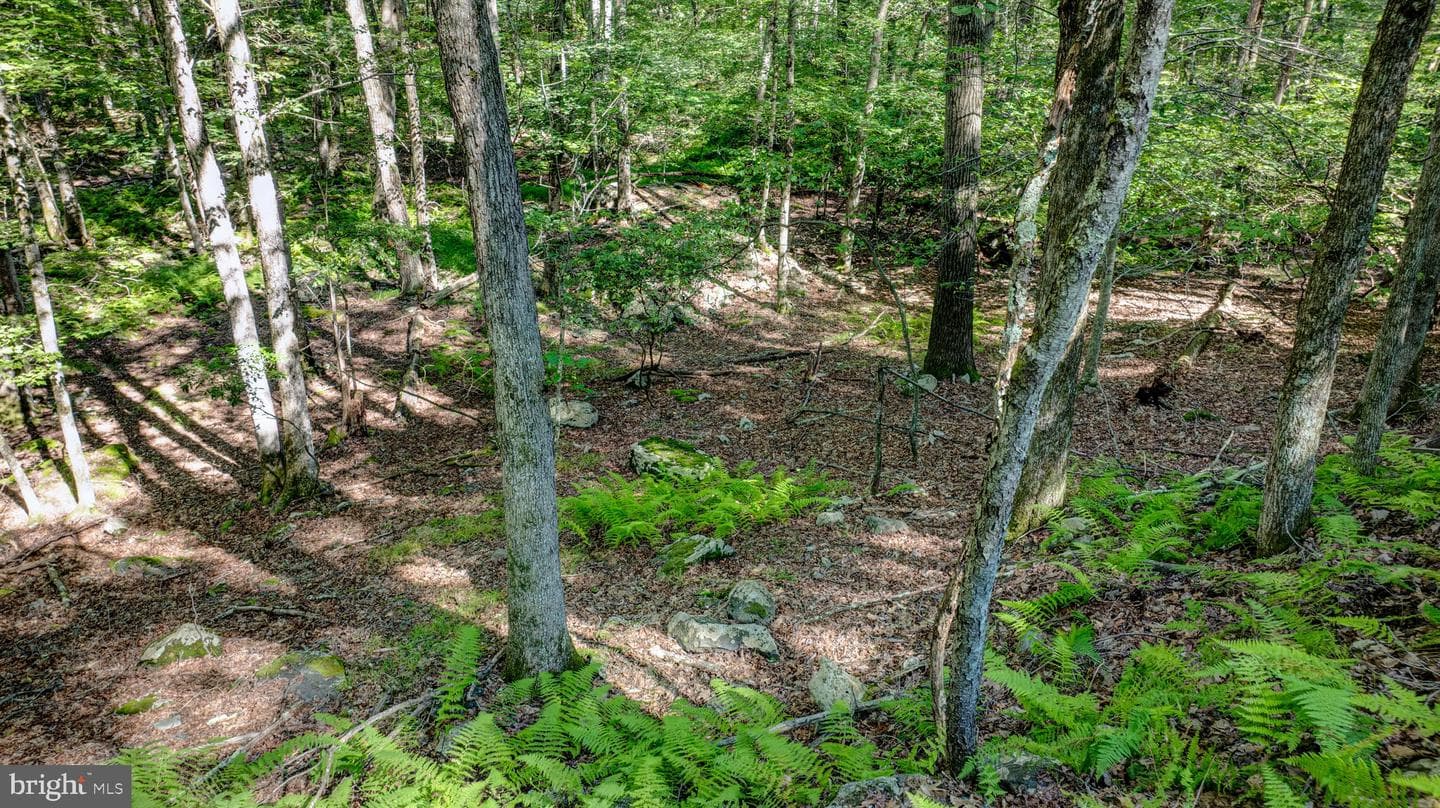 424 Iroquois Loop photo 49