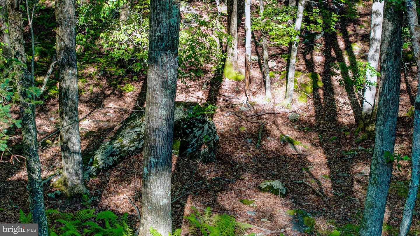 424 Iroquois Loop photo 50