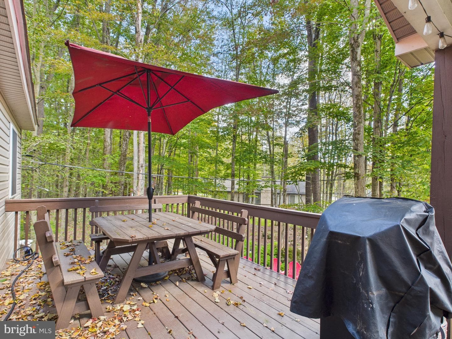 144 Maxatawny Drive photo 47