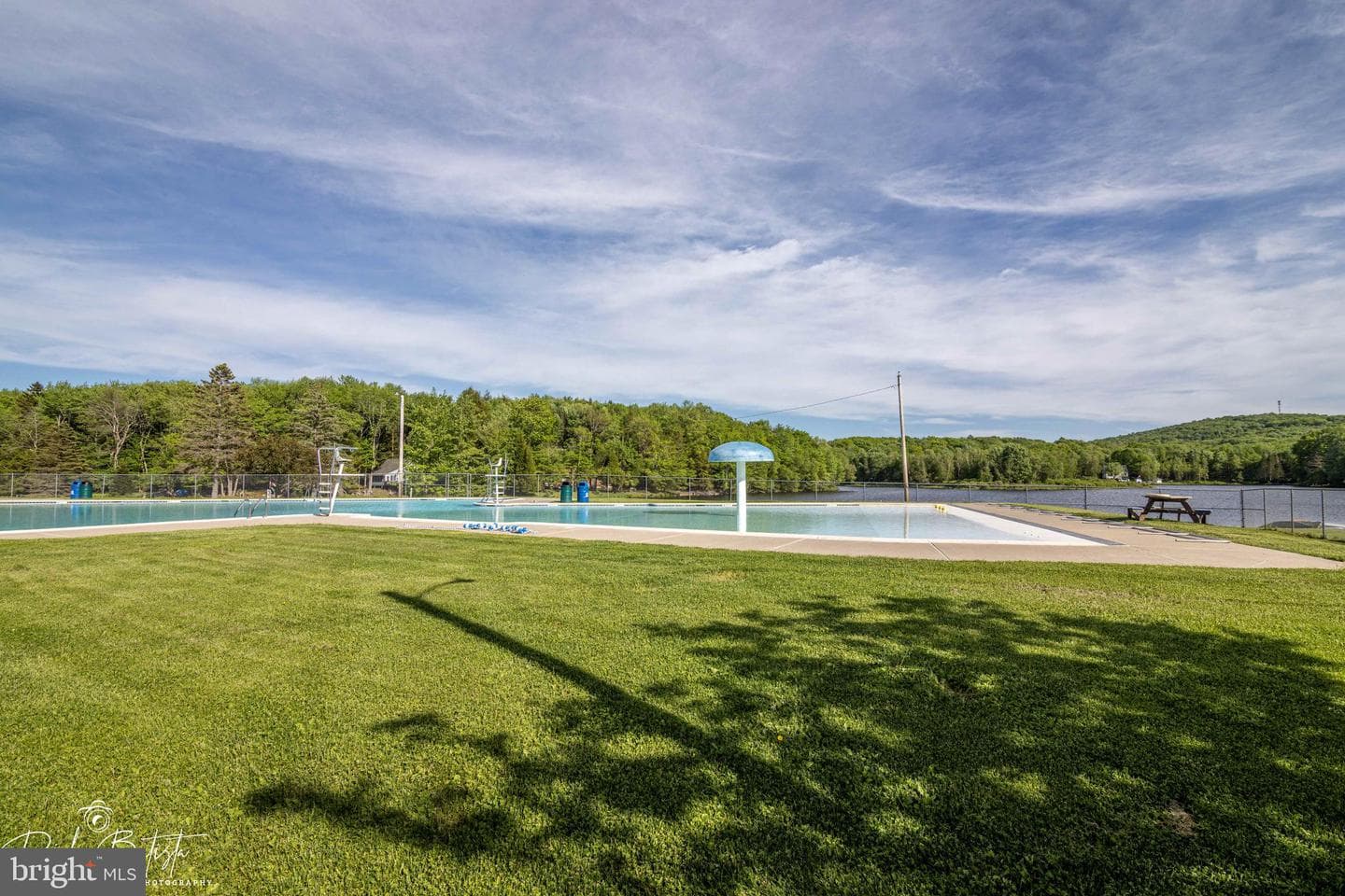 278 Trout Creek Drive photo 64