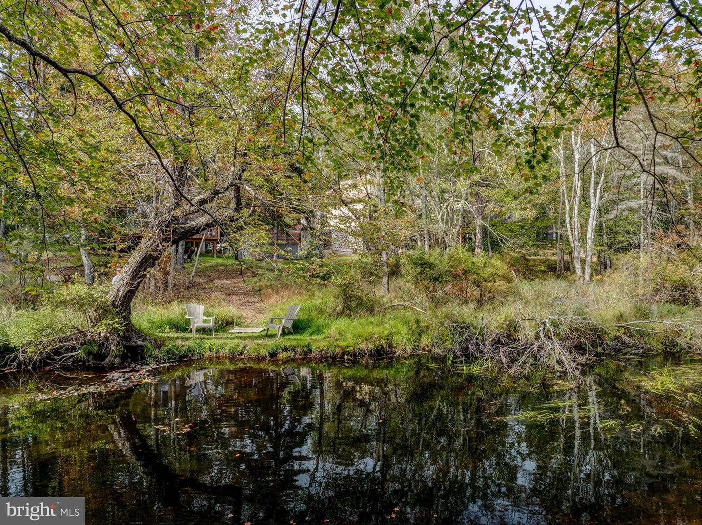 278 Trout Creek Drive photo 9