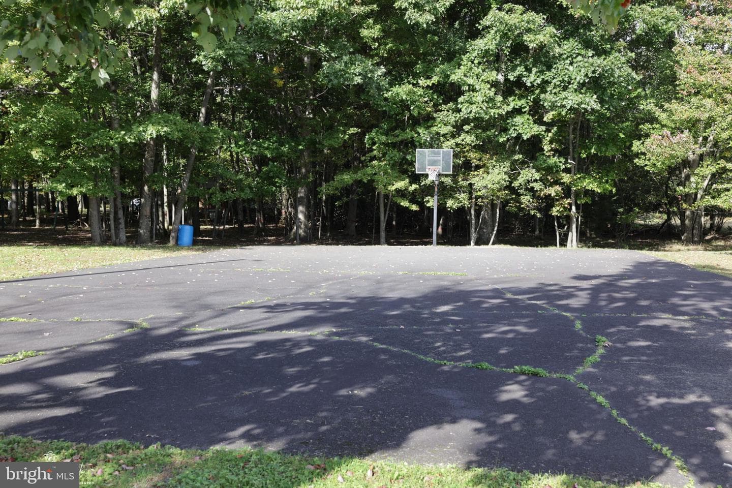 5160 Hummingbird Drive photo 58