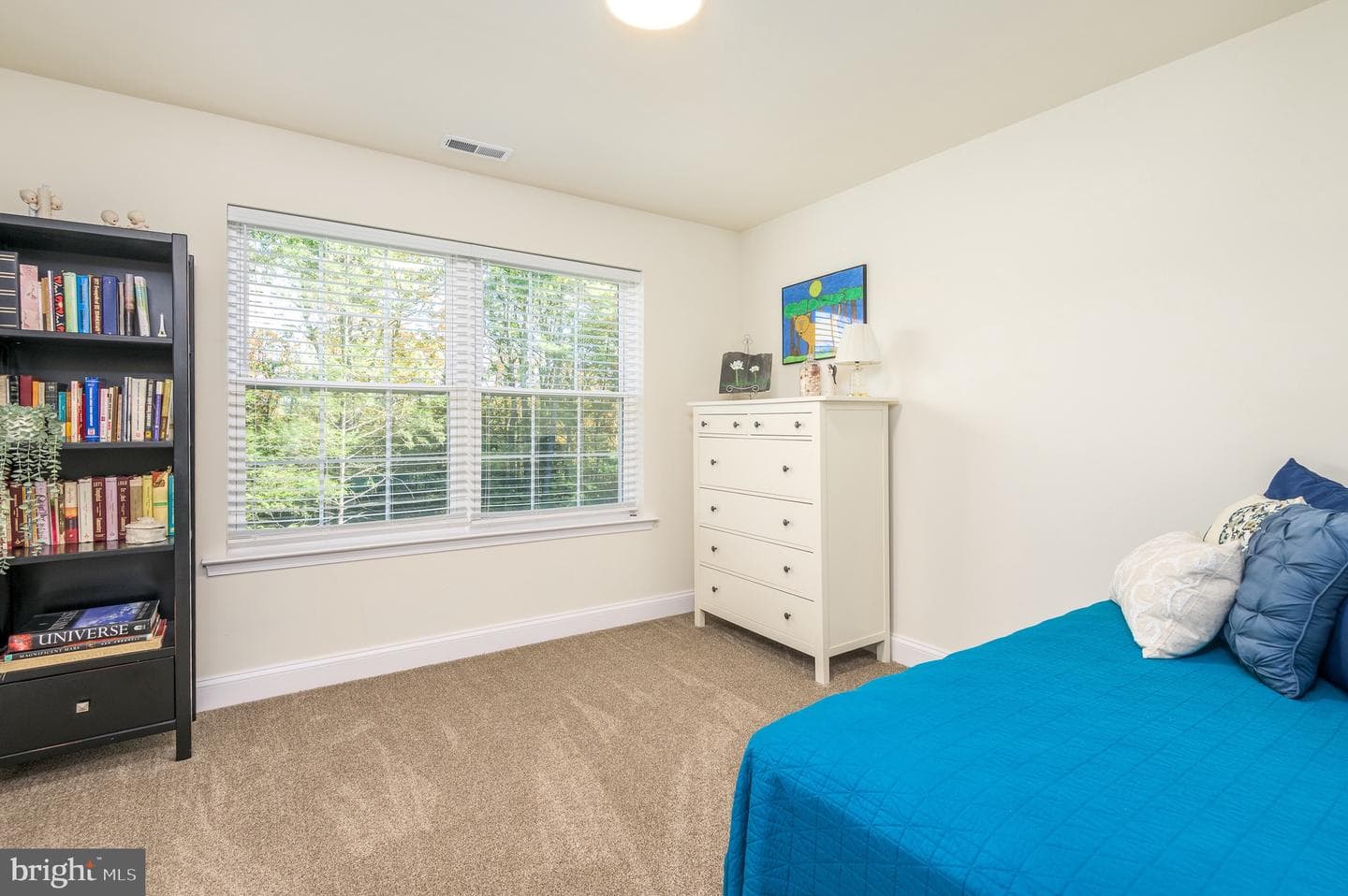 131 Chinaberry Way photo 30