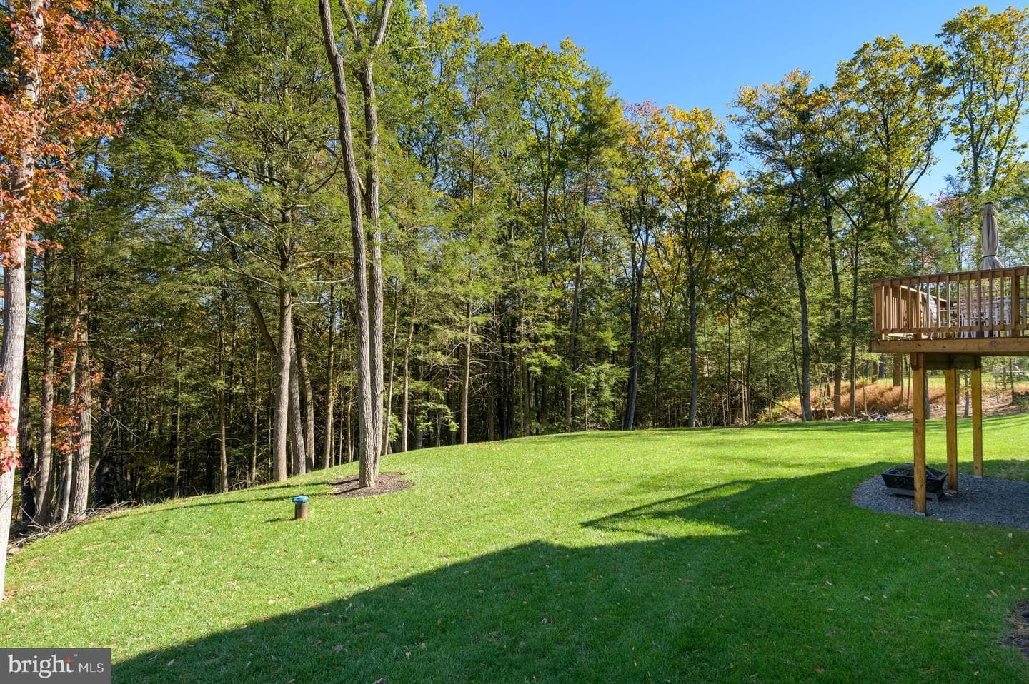 131 Chinaberry Way photo 7