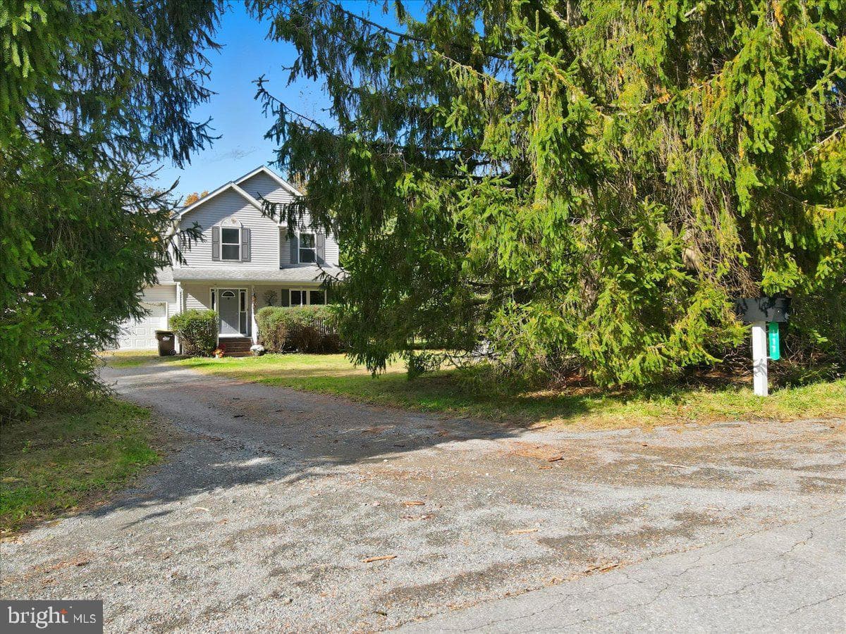 117 Summit Drive photo 7