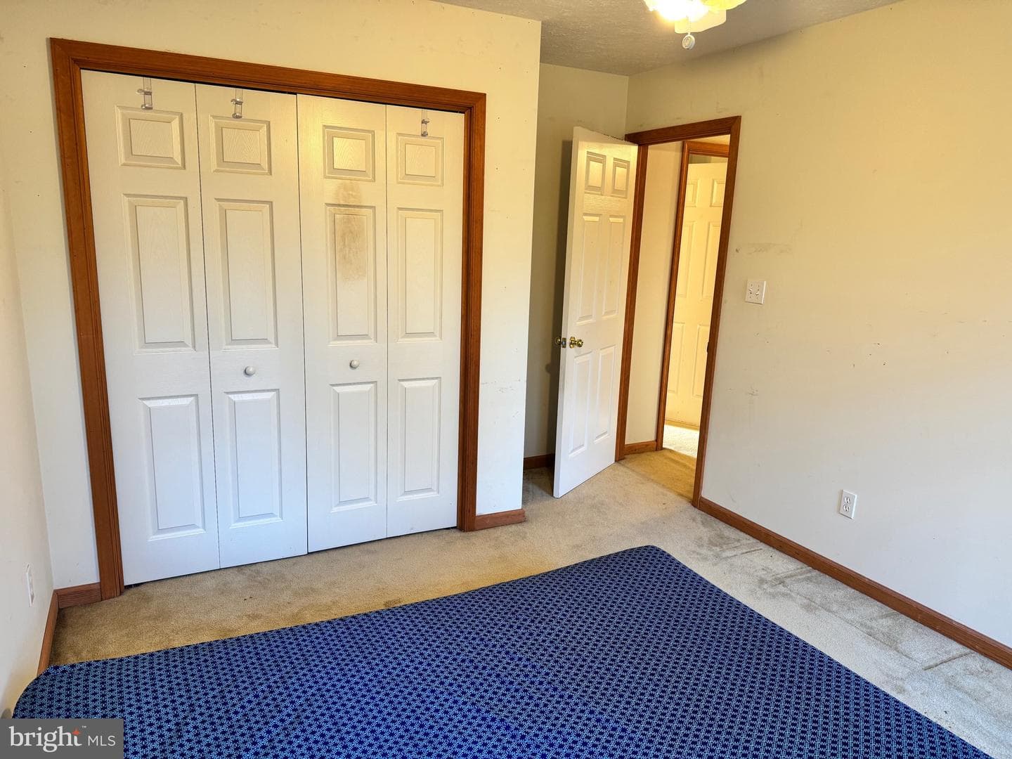 1145 Chickadee Drive photo 23