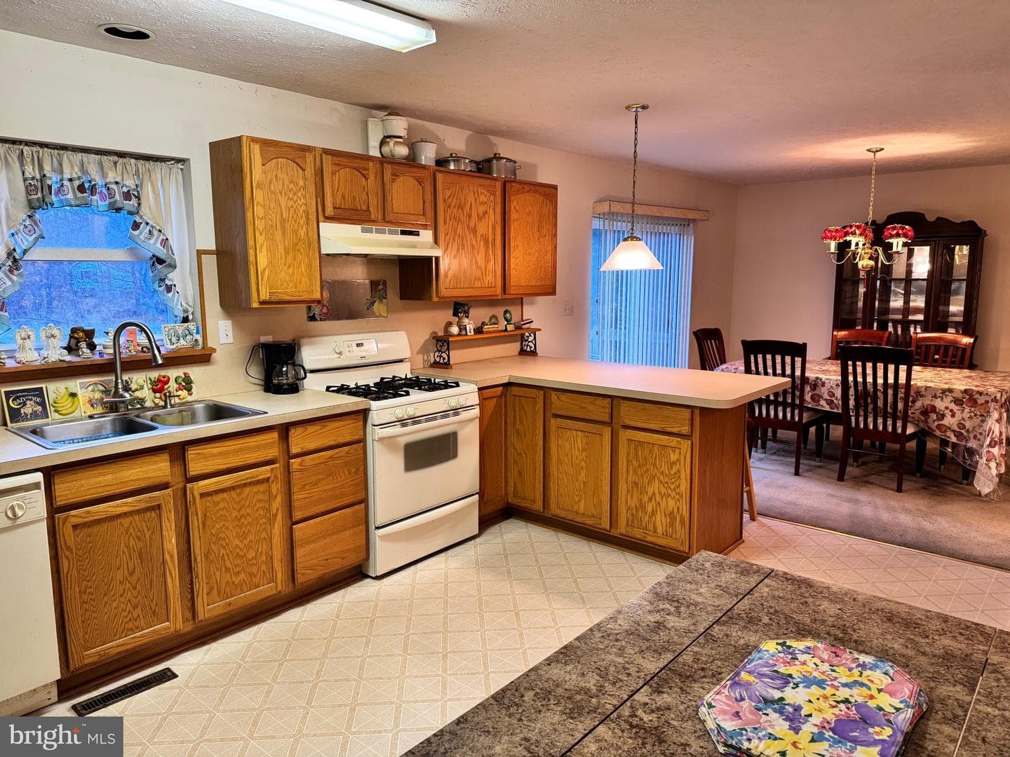 1145 Chickadee Drive photo 6
